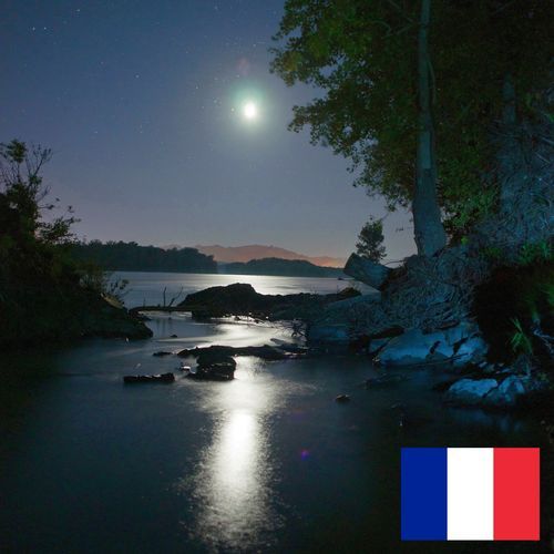 Chant des Criquets au Bord d'une Petite Rivière