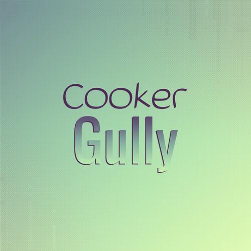 Cooker Gully