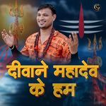 DEEWANE MAHADEV KE HUM