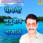 Dighali Pukhurir Parote