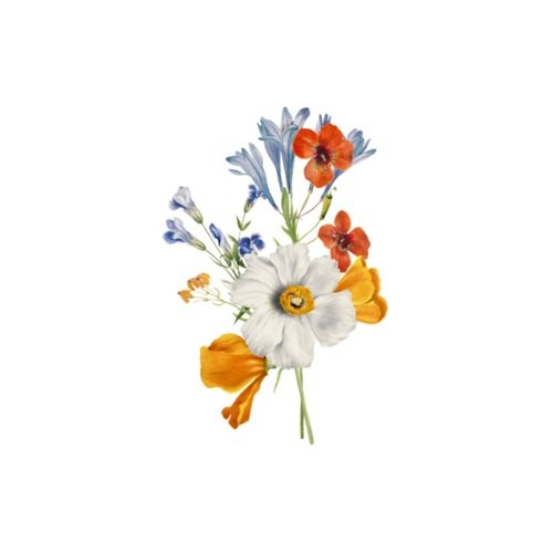 Funeral Arrangements cover art