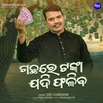 Gachhare Tanka Jadi Phaliba