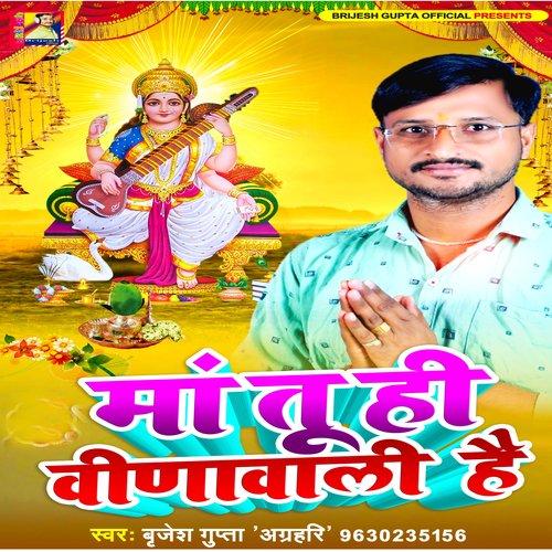 Ma Tu Hi Vinawali Hai (Devi Geet)
