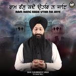 Ram Rang Kade Utar Na Jaye artwork