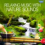 Relaxing Music With Nature Sounds artwork