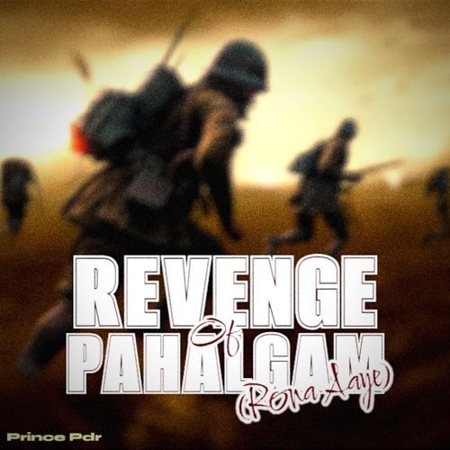Revenge Of Pahalgam (Rona Aaye)