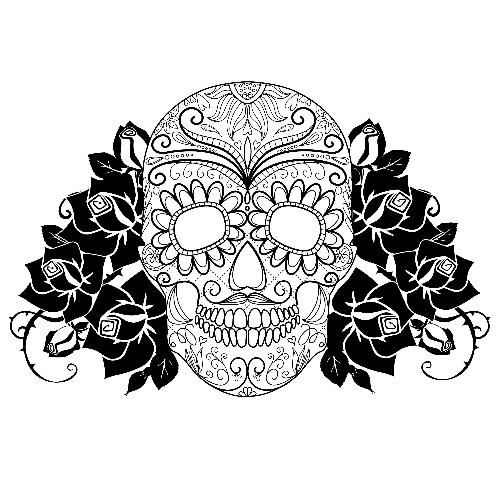 Sergio cover art