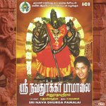 Vellore Palatrile