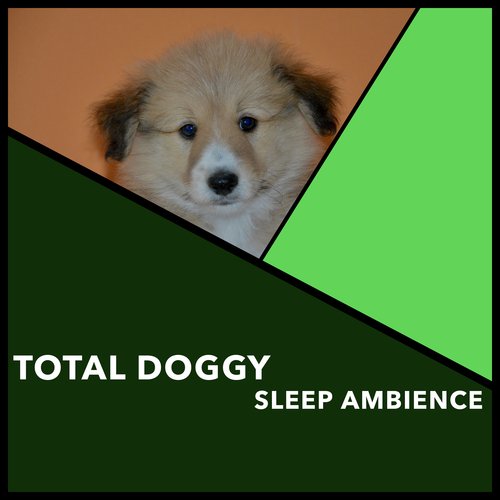 Total Doggy Sleep Ambience_poster_image