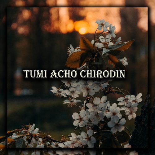 Tumi Acho Chirodin (Live)