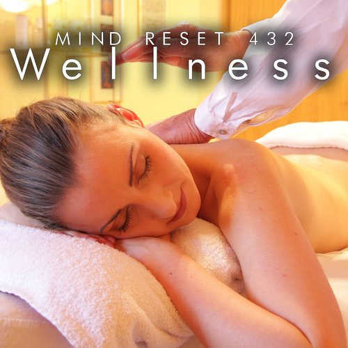 Wellness cover art