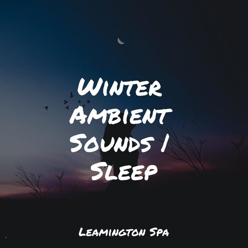 Focused, Relaxed cover art