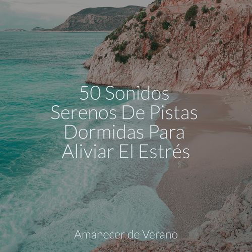 50 Sonidos Serenos De Pistas Dormidas Para Aliviar El Estrés