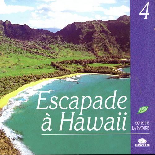 A Jaunt To Hawaii (Escapade À Hawaii)_poster_image