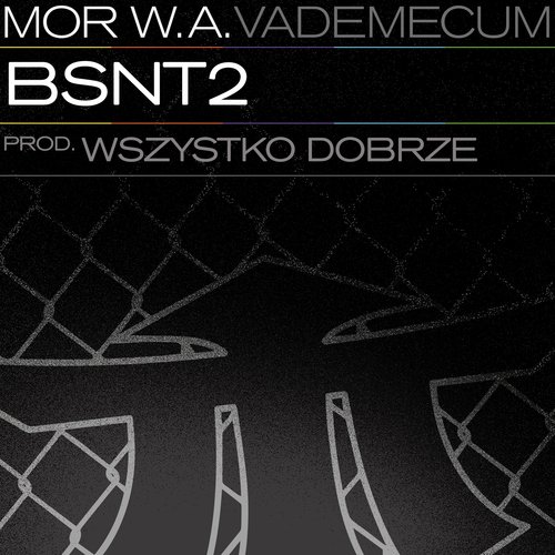 BSNT2_poster_image