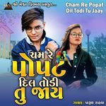 Cham Re Popat Dil Todi Tu Jaay
