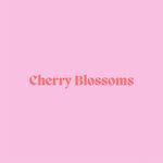 Cherry Blossoms
