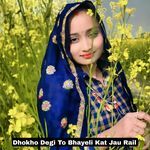 Dhokho Degi To Bhayeli Kat Jau Rail