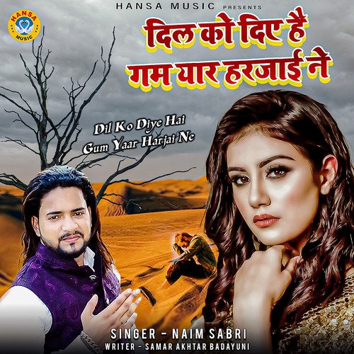 Dil Ko Diye Hai Gum Yaar Harjai Ne - Single