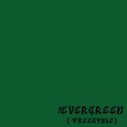 Evergreen(Freestyle)-SVopeitzVgQ