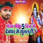 Gaja Pk 5 Din Se Devghar Me Sutal Chhai