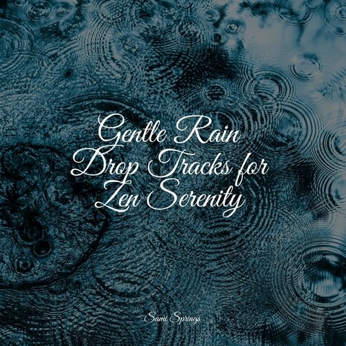 Rain, Storm and Thunder cover art