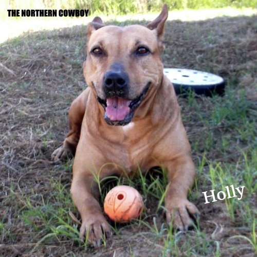 Holly cover art