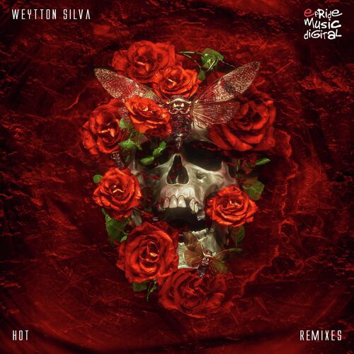 Hot (Fontez Sambão Remix) cover art