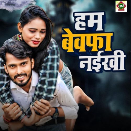 Hum Bewafa Naikhi