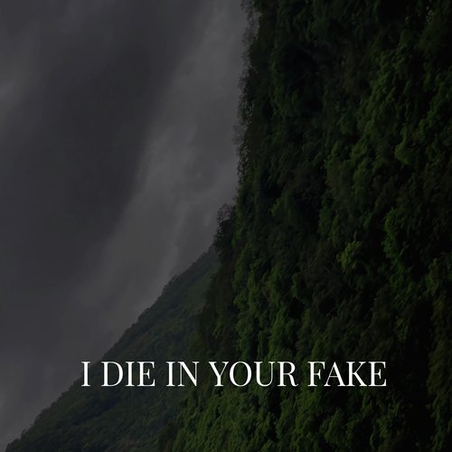 I Die in Your Fake