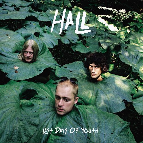 Last Days of Youth