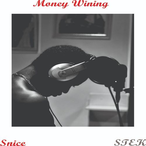 Money Whinning (feat. Stek)_poster_image