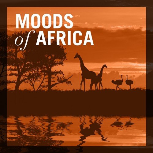 Moods of Africa