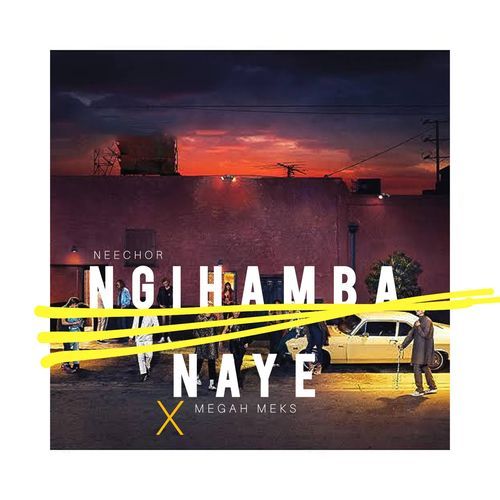 Ngihamba Naye