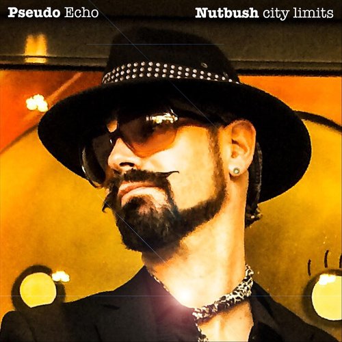 Nutbush City Limits_poster_image