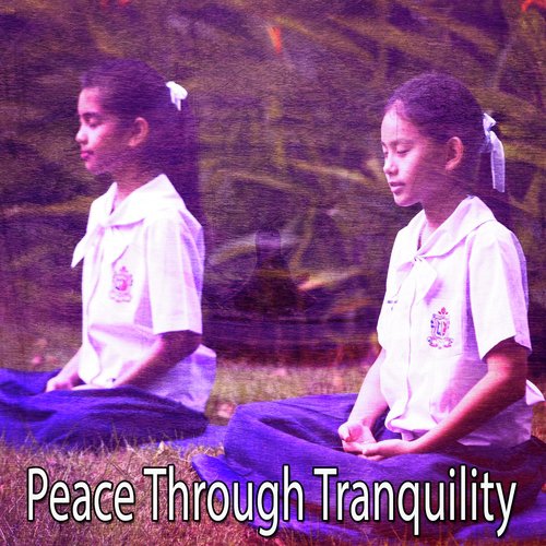 Peace Through Tranquility