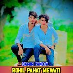 ROHIL PAHAT MEWATI