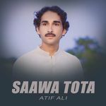Saawa Tota artwork