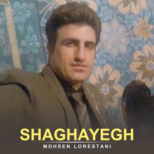 Shaghayegh cover art