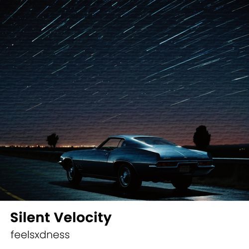 Silent Velocity