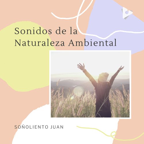 Zen Bosque cover art