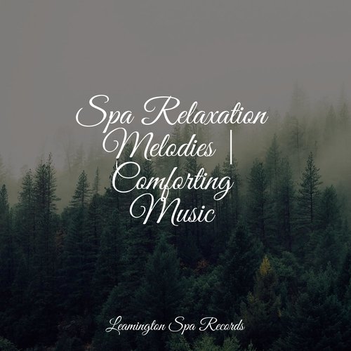 Lazy Morning cover art
