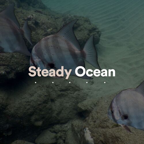 Steady Ocean_poster_image