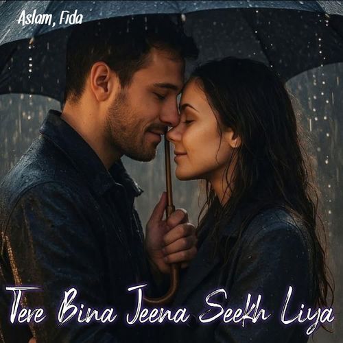 Tere Bina Jeena Seekh Liya