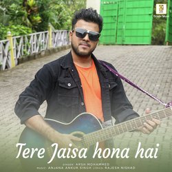 Tere Jaisa Hona Hai-PQIDVi1lTlQ