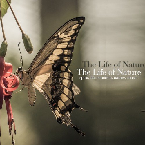 The Life of Nature (Spirit, Life, Emotion, Nature, Music)