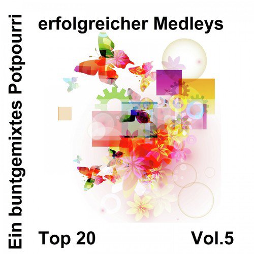 Top 20: Ein buntgemixtes Potpourri erfolgreicher Medleys, Vol. 5