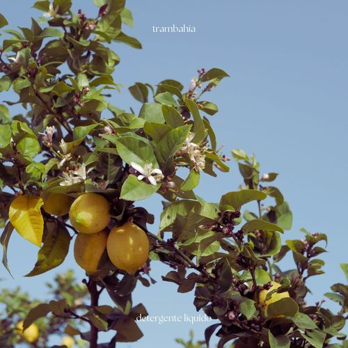 Trambahía cover art