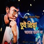 Tui Priya Amar Hoili Na