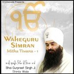 Waheguru Simran   Mitha Tiwana, Vol. 1